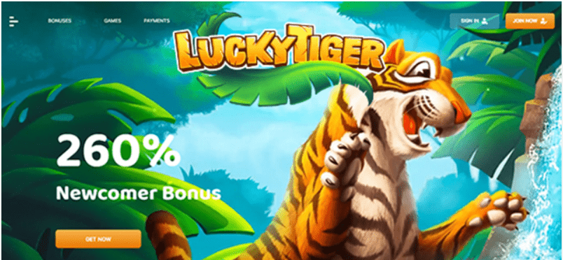 Lucky Tiger Casino Online Full Review 1