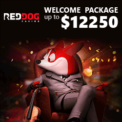 Red Dog Casino Welcome Package up to 12250$