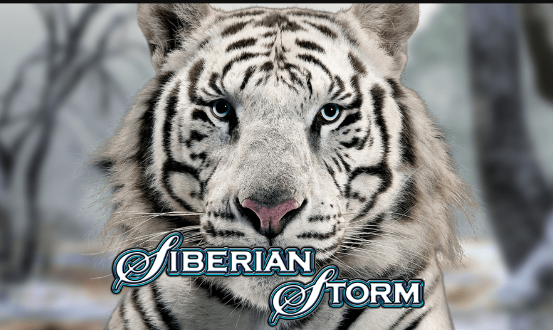 Siberian Storm Slot 2